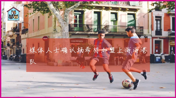 媒体人士确认杨希将加盟上海海港队