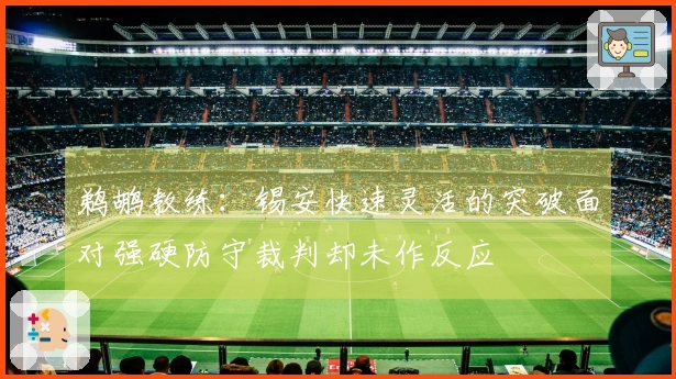 鹈鹕教练：锡安快速灵活的突破面对强硬防守裁判却未作反应